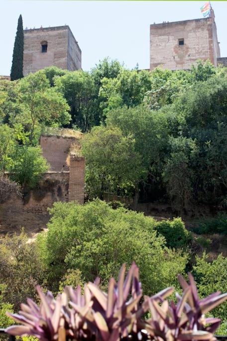 Alhambra Enamora 1 -Paseo De Los Tristes View 1 -C Granada Exteriér fotografie